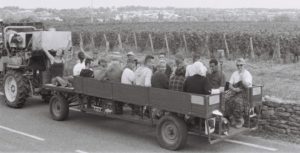 Vendanges 2014 tracteur 2