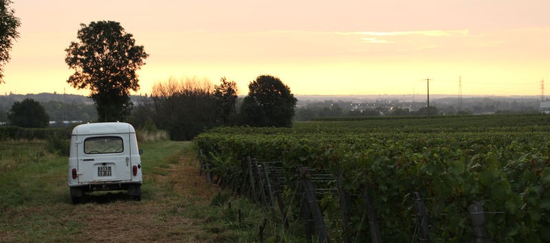 vignes tripoz