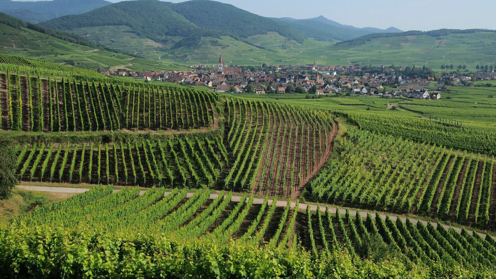 Ammerschwihr