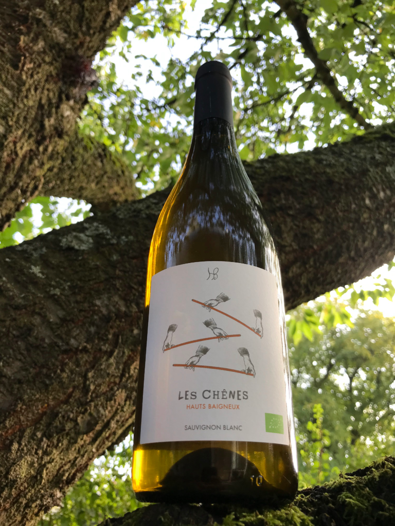 Les Chenes Sauvignon Blanc