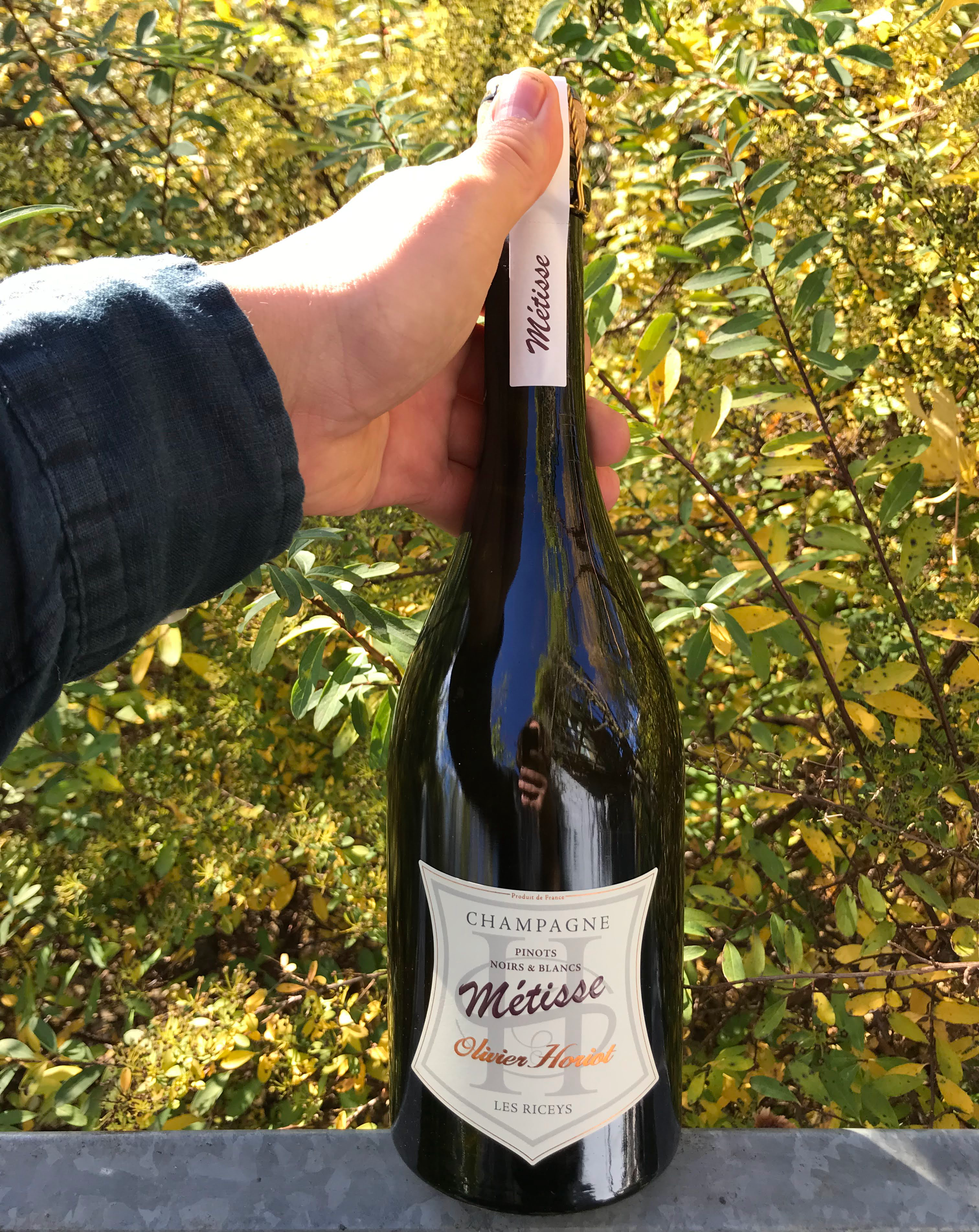 Metisse 2019.jpg Champragne Metisse 2019