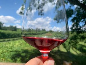 glass of vino in vineyrad